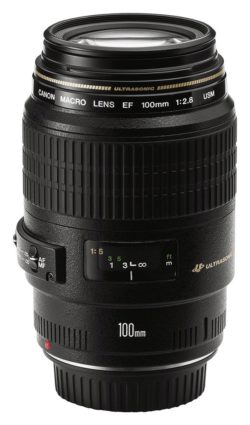 Canon EF 100mm f/2.8 Macro USM Lens.